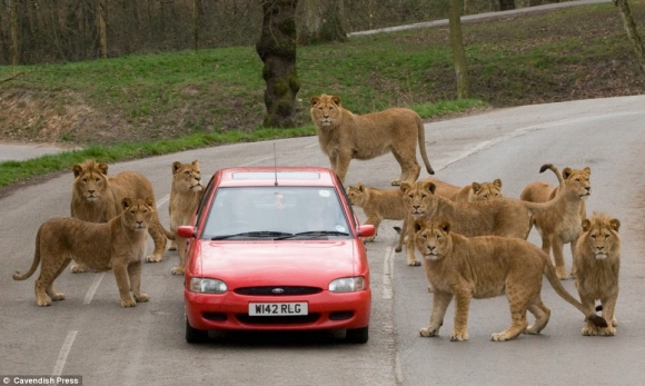 image008.jpg