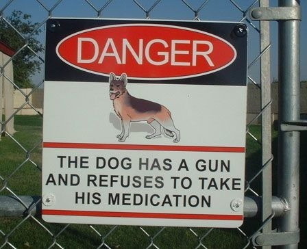 bad-dog.jpg