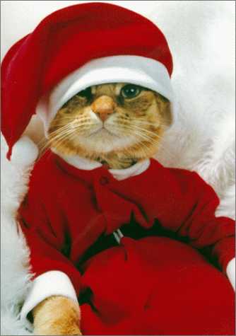 funny-santa-claus.jpg