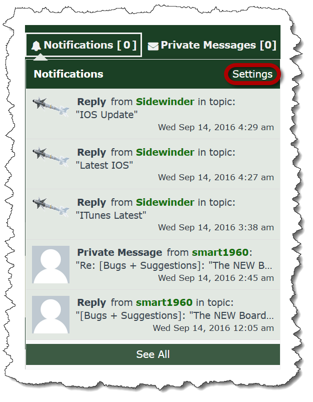Hover_Bug__(Settings_Menu).png