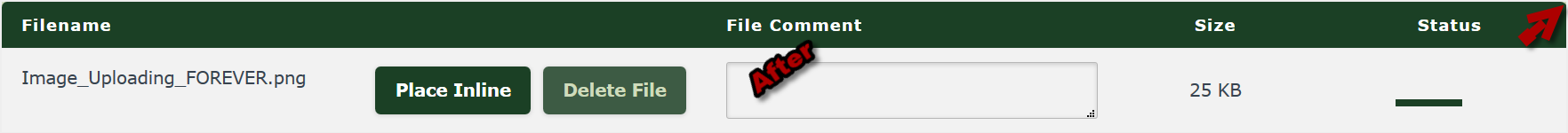 Image_Uploading__(AFTER).png