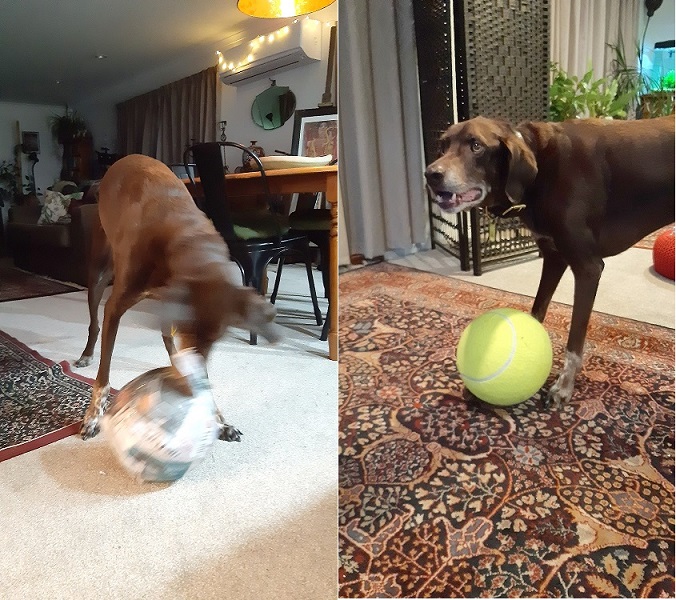 hugo.jpg
